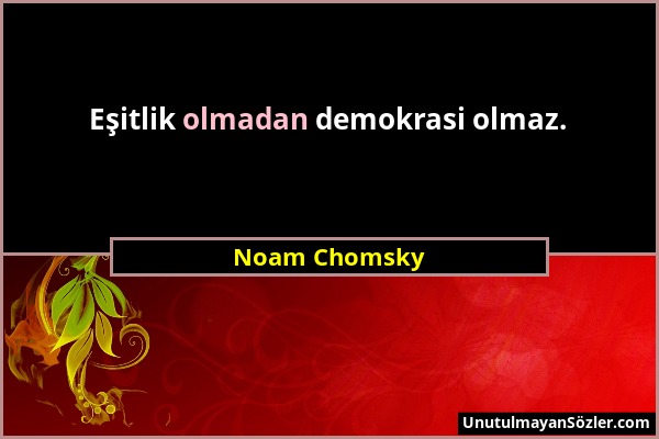 Noam Chomsky - Eşitlik olmadan demokrasi olmaz....