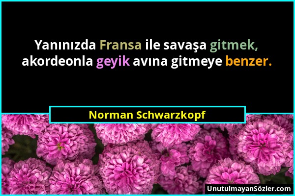 Norman Schwarzkopf - Yanınızda Fransa ile savaşa gitmek, akordeonla geyik avına gitmeye benzer....