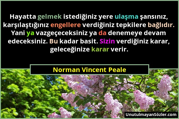 Norman Vincent Peale - Hayatta gelmek istediğiniz yere ulaşma şansınız, karşılaştığınız engellere verdiğiniz tepkilere bağlıdır. Yani ya vazgeçeceksin...