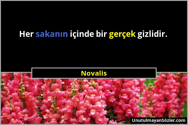 Novalis - Her sakanın içinde bir gerçek gizlidir....