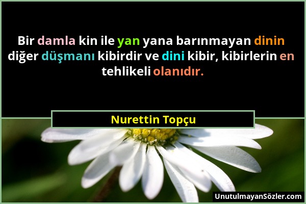 Nurettin Topçu - Bir damla kin ile yan yana barınmayan dinin diğer düşmanı kibirdir ve dini kibir, kibirlerin en tehlikeli olanıdır....