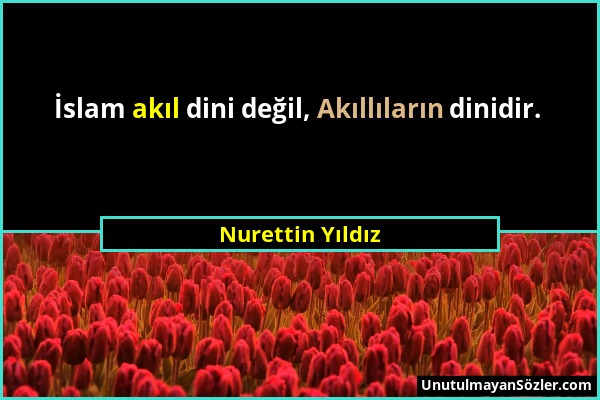 Nurettin Yıldız - İslam akıl dini değil, Akıllıların dinidir....