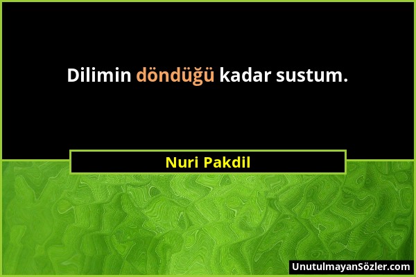 Nuri Pakdil - Dilimin döndüğü kadar sustum....