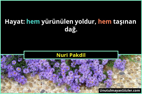 Nuri Pakdil - Hayat: hem yürünülen yoldur, hem taşınan dağ....