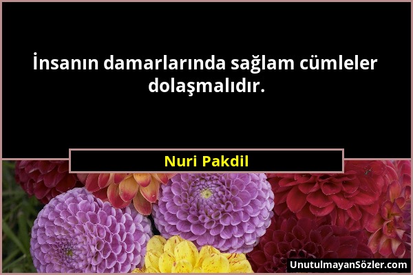 Nuri Pakdil - İnsanın damarlarında sağlam cümleler dolaşmalıdır....