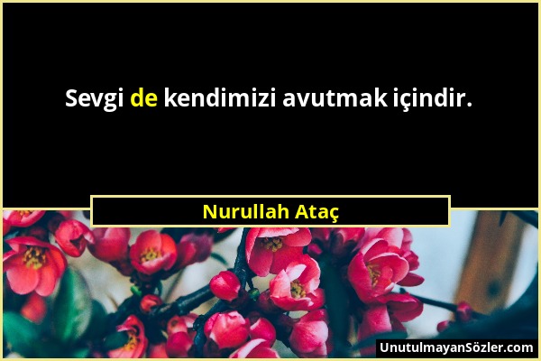 Nurullah Ataç - Sevgi de kendimizi avutmak içindir....