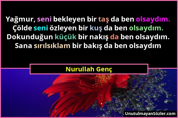 Nurullah Genç - Yağmur, seni bekleyen bir taş da ben olsaydım. Çölde seni özleyen bir kuş da ben olsaydım. Dokunduğun küçük bir nakış da ben olsaydım....