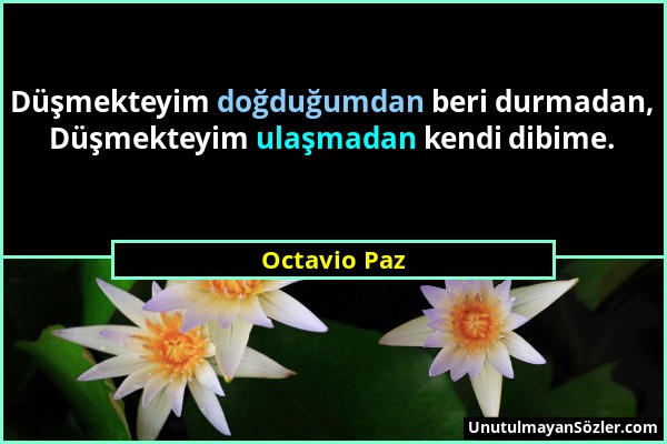Octavio Paz - Düşmekteyim doğduğumdan beri durmadan, Düşmekteyim ulaşmadan kendi dibime....