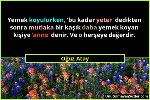 Oğuz Atay - Yemek koyulurken, 'bu kadar yeter' dedikten sonra mutlaka bir kaşık daha yemek koyan kişiye 'anne' denir. Ve o herşeye değerdir....