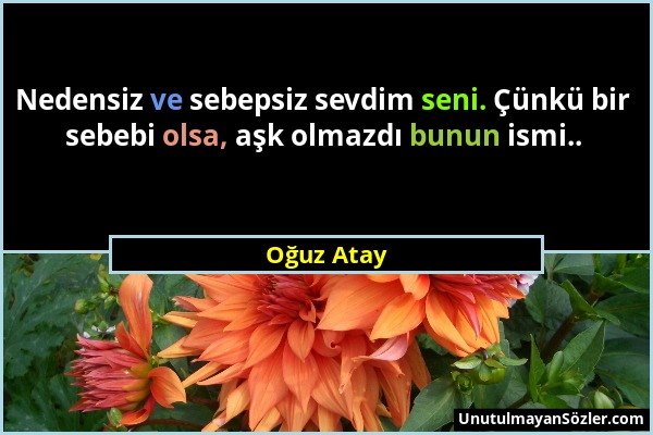 Oğuz Atay - Nedensiz ve sebepsiz sevdim seni. Çünkü bir sebebi olsa, aşk olmazdı bunun ismi.....