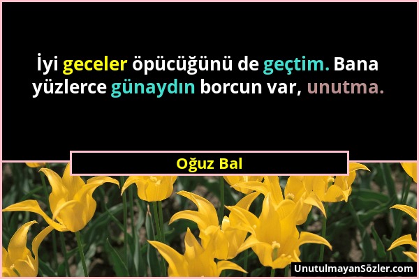 Oğuz Bal - İyi geceler öpücüğünü de geçtim. Bana yüzlerce günaydın borcun var, unutma....