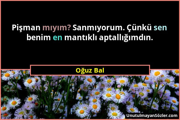 Oğuz Bal - Pişman mıyım? Sanmıyorum. Çünkü sen benim en mantıklı aptallığımdın....