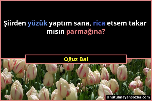 Oğuz Bal - Şiirden yüzük yaptım sana, rica etsem takar mısın parmağına?...