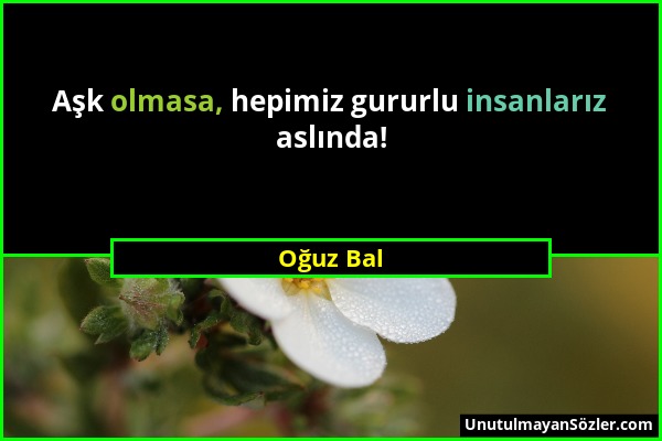 Oğuz Bal - Aşk olmasa, hepimiz gururlu insanlarız aslında!...