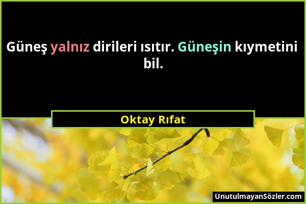 Oktay Rıfat - Güneş yalnız dirileri ısıtır. Güneşin kıymetini bil....