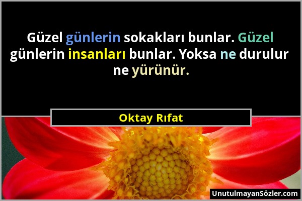 Oktay Rıfat - Güzel günlerin sokakları bunlar. Güzel günlerin insanları bunlar. Yoksa ne durulur ne yürünür....