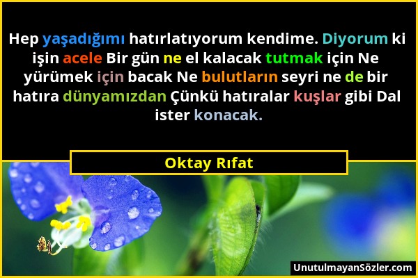 Oktay Rıfat - Hep yaşadığımı hatırlatıyorum kendime. Diyorum ki işin acele Bir gün ne el kalacak tutmak için Ne yürümek için bacak Ne bulutların seyri...