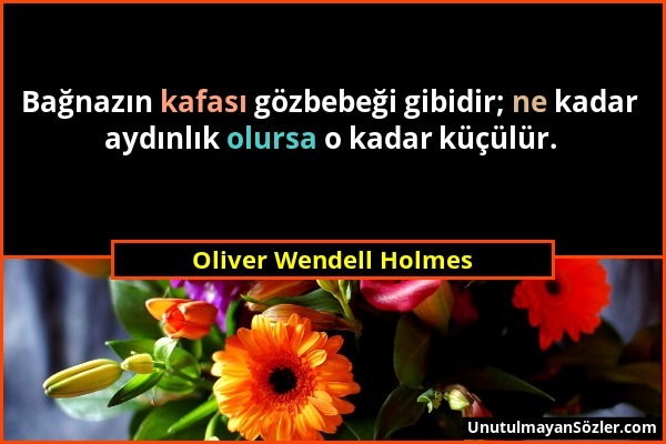 Oliver Wendell Holmes - Bağnazın kafası gözbebeği gibidir; ne kadar aydınlık olursa o kadar küçülür....