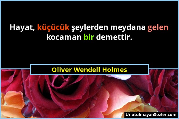 Oliver Wendell Holmes - Hayat, küçücük şeylerden meydana gelen kocaman bir demettir....