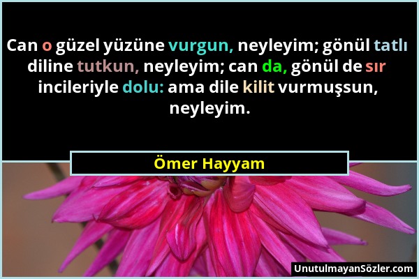 Ömer Hayyam - Can o güzel yüzüne vurgun, neyleyim; gönül tatlı diline tutkun, neyleyim; can da, gönül de sır incileriyle dolu: ama dile kilit vurmuşsu...