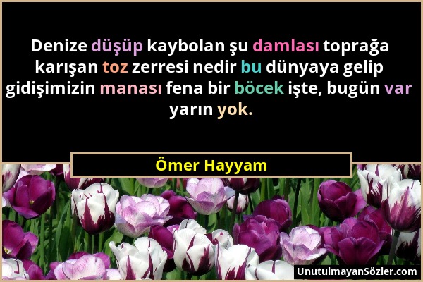 Ömer Hayyam - Denize düşüp kaybolan şu damlası toprağa karışan toz zerresi nedir bu dünyaya gelip gidişimizin manası fena bir böcek işte, bugün var ya...