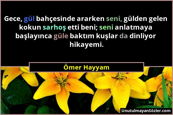 Ömer Hayyam - Gece, gül bahçesinde ararken seni, gülden gelen kokun sarhoş etti beni; seni anlatmaya başlayınca güle baktım kuşlar da dinliyor hikayem...