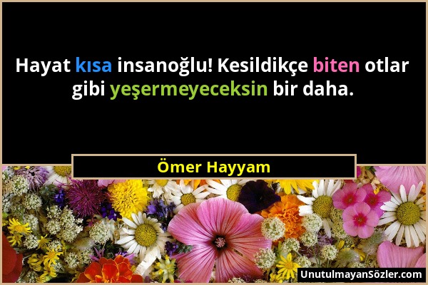 Ömer Hayyam - Hayat kısa insanoğlu! Kesildikçe biten otlar gibi yeşermeyeceksin bir daha....