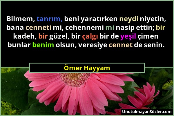 Ömer Hayyam - Bilmem, tanrım, beni yaratırken neydi niyetin, bana cenneti mi, cehennemi mi nasip ettin; bir kadeh, bir güzel, bir çalgı bir de yeşil ç...