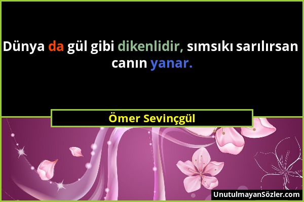 Ömer Sevinçgül - Dünya da gül gibi dikenlidir, sımsıkı sarılırsan canın yanar....