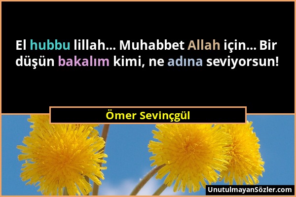 Ömer Sevinçgül - El hubbu lillah... Muhabbet Allah için... Bir düşün bakalım kimi, ne adına seviyorsun!...