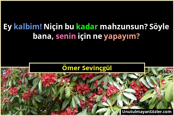 Ömer Sevinçgül - Ey kalbim! Niçin bu kadar mahzunsun? Söyle bana, senin için ne yapayım?...
