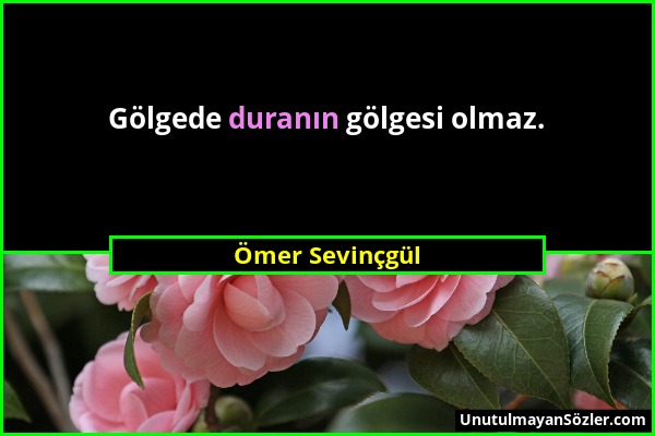 Ömer Sevinçgül - Gölgede duranın gölgesi olmaz....