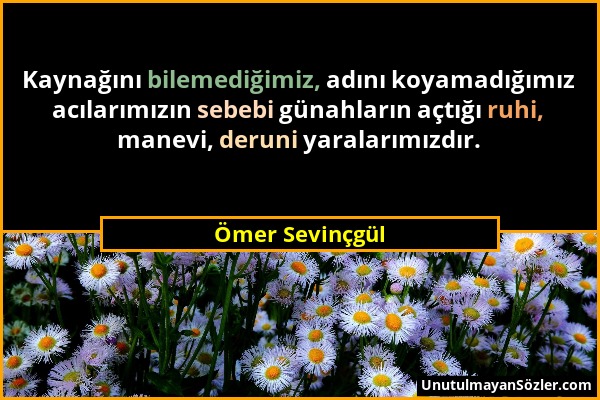 Ömer Sevinçgül - Kaynağını bilemediğimiz, adını koyamadığımız acılarımızın sebebi günahların açtığı ruhi, manevi, deruni yaralarımızdır....