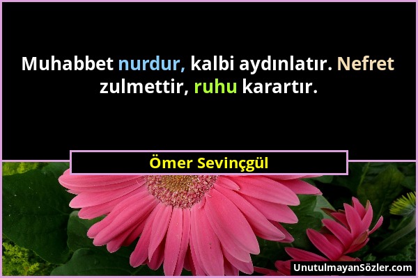 Ömer Sevinçgül - Muhabbet nurdur, kalbi aydınlatır. Nefret zulmettir, ruhu karartır....