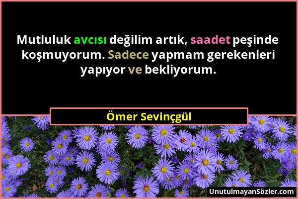 Ömer Sevinçgül - Mutluluk avcısı değilim artık, saadet peşinde koşmuyorum. Sadece yapmam gerekenleri yapıyor ve bekliyorum....