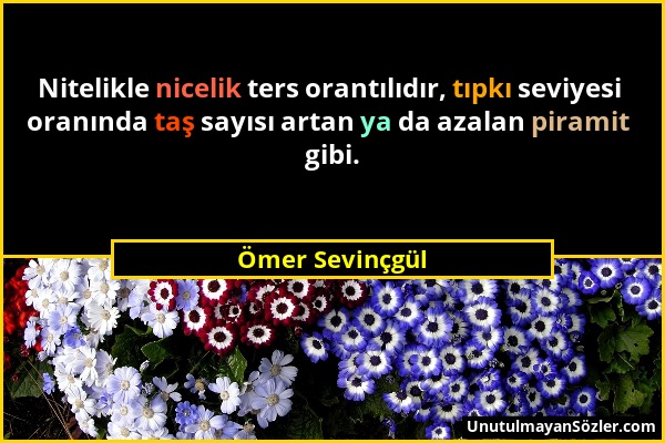 Ömer Sevinçgül - Nitelikle nicelik ters orantılıdır, tıpkı seviyesi oranında taş sayısı artan ya da azalan piramit gibi....