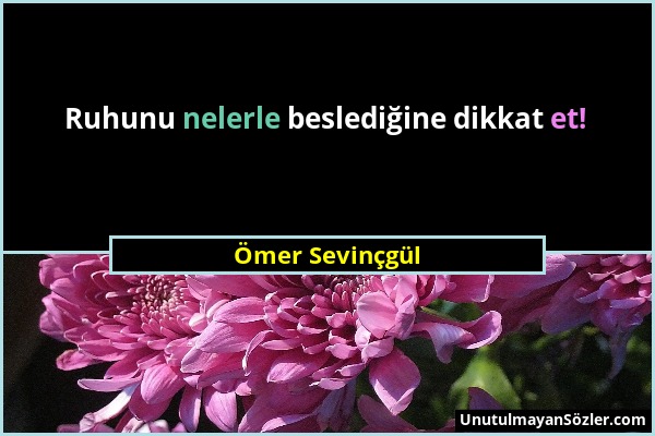 Ömer Sevinçgül - Ruhunu nelerle beslediğine dikkat et!...