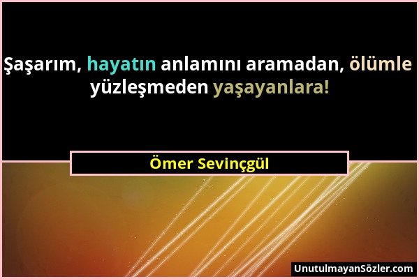 Ömer Sevinçgül - Şaşarım, hayatın anlamını aramadan, ölümle yüzleşmeden yaşayanlara!...