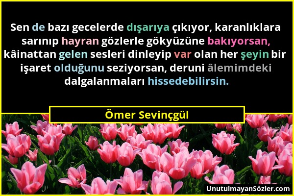 Ömer Sevinçgül - Sen de bazı gecelerde dışarıya çıkıyor, karanlıklara sarınıp hayran gözlerle gökyüzüne bakıyorsan, kâinattan gelen sesleri dinleyip v...