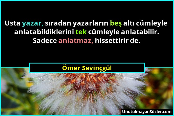 Ömer Sevinçgül - Usta yazar, sıradan yazarların beş altı cümleyle anlatabildiklerini tek cümleyle anlatabilir. Sadece anlatmaz, hissettirir de....