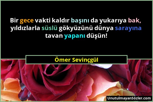 Ömer Sevinçgül - Bir gece vakti kaldır başını da yukarıya bak, yıldızlarla süslü gökyüzünü dünya sarayına tavan yapanı düşün!...