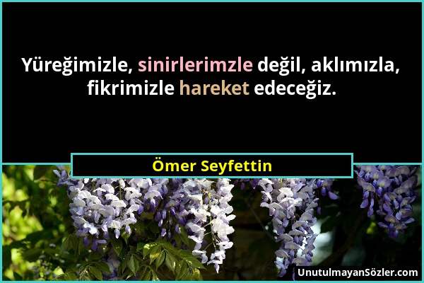 Ömer Seyfettin - Yüreğimizle, sinirlerimzle değil, aklımızla, fikrimizle hareket edeceğiz....