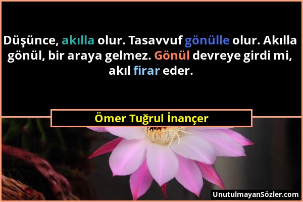 Ömer Tuğrul İnançer - Düşünce, akılla olur. Tasavvuf gönülle olur. Akılla gönül, bir araya gelmez. Gönül devreye girdi mi, akıl firar eder....