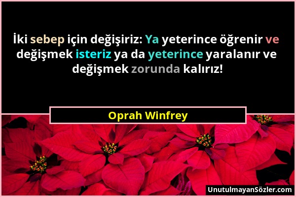 Oprah Winfrey - İki sebep için değişiriz: Ya yeterince öğrenir ve değişmek isteriz ya da yeterince yaralanır ve değişmek zorunda kalırız!...