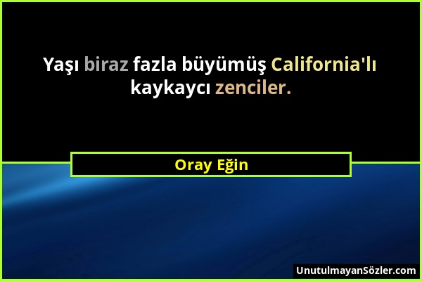 Oray Eğin - Yaşı biraz fazla büyümüş California'lı kaykaycı zenciler....