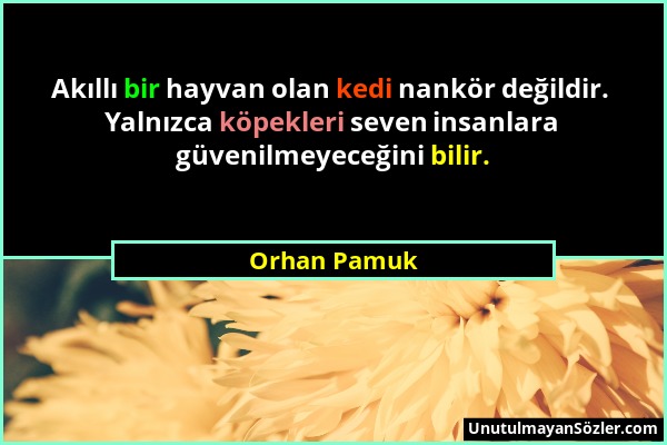 Orhan Pamuk - Akıllı bir hayvan olan kedi nankör değildir. Yalnızca köpekleri seven insanlara güvenilmeyeceğini bilir....