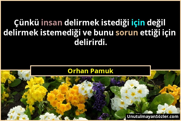 Orhan Pamuk - Çünkü insan delirmek istediği için değil delirmek istemediği ve bunu sorun ettiği için delirirdi....