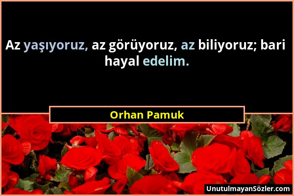 Orhan Pamuk - Az yaşıyoruz, az görüyoruz, az biliyoruz; bari hayal edelim....