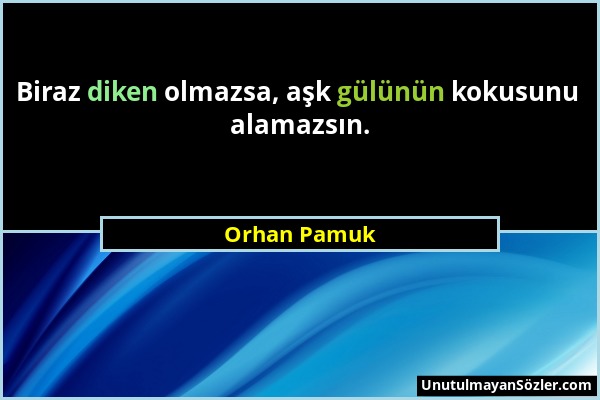 Orhan Pamuk - Biraz diken olmazsa, aşk gülünün kokusunu alamazsın....