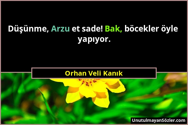 Orhan Veli Kanık - Düşünme, Arzu et sade! Bak, böcekler öyle yapıyor....